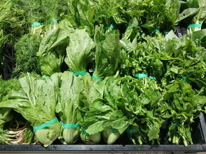 上周云南省生活必需品零售價格觀察 6漲1平5跌，新鮮蔬菜價格回落